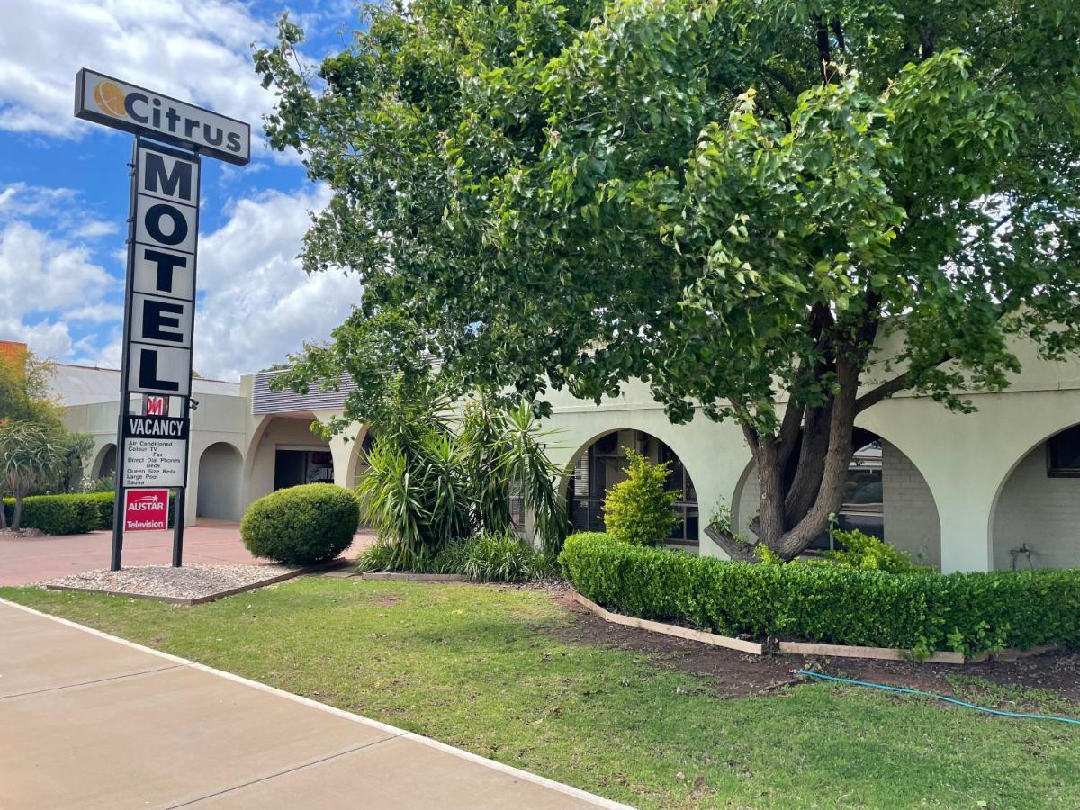 Citrus Hotel Griffith